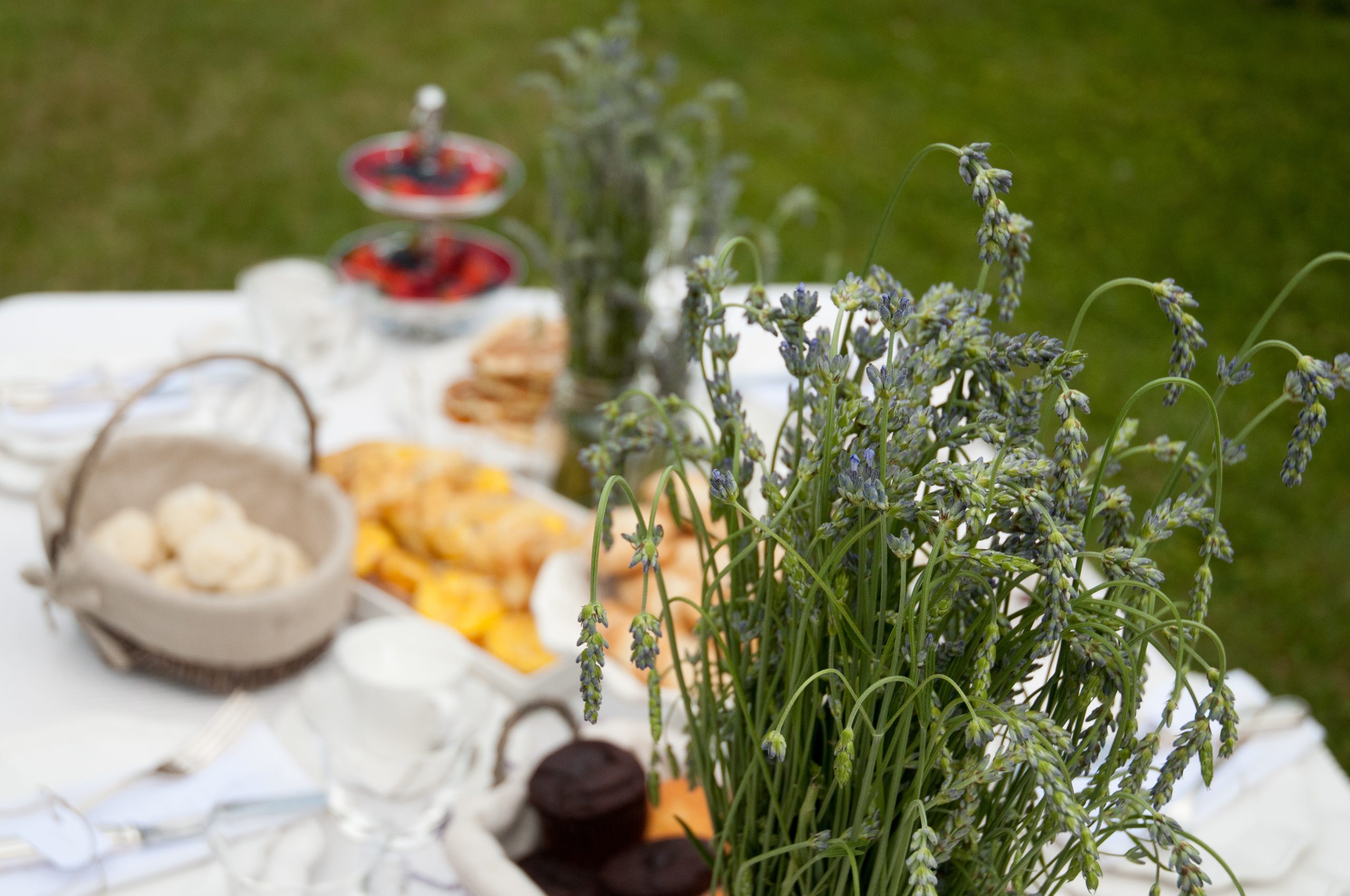 copyright marco cavallaro