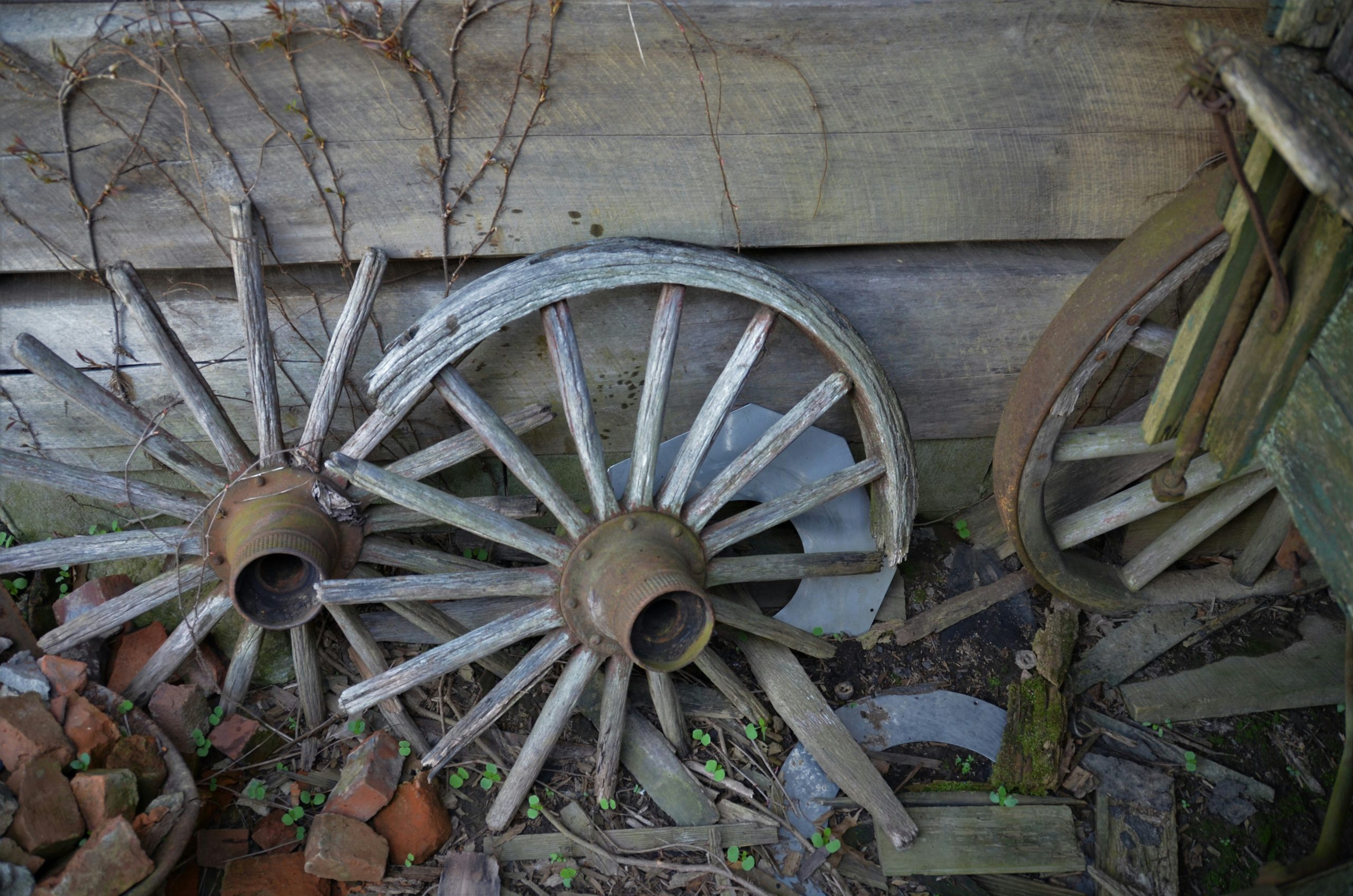 roger-starnes-sr-La dolce vita italy destination management company_luxury italian reclaimed materials from Italy